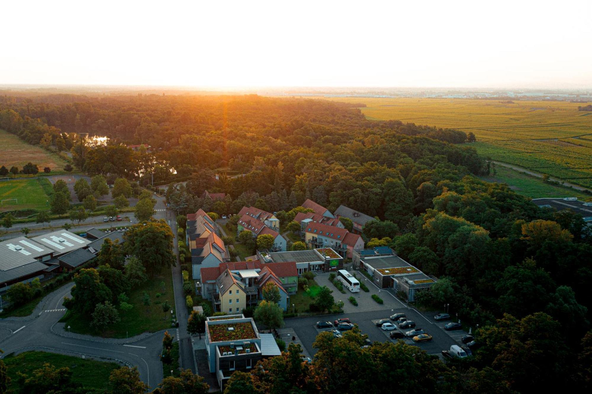 Residence Les Rives De La Fecht - Colmar Ouest Ingersheim Eksteriør billede